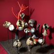 Wunderkammer